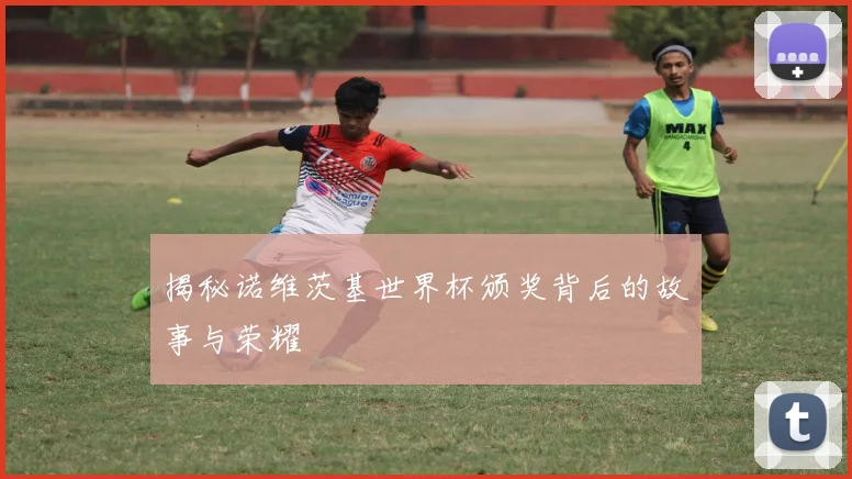 揭秘诺维茨基世界杯颁奖背后的故事与荣耀