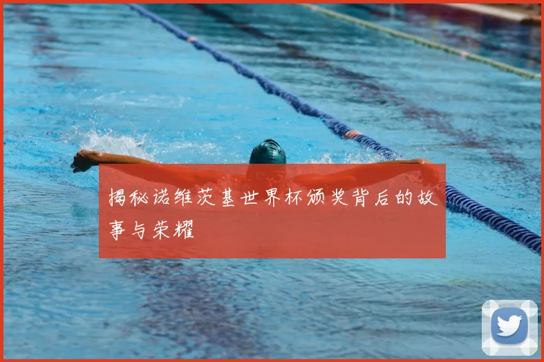 揭秘诺维茨基世界杯颁奖背后的故事与荣耀